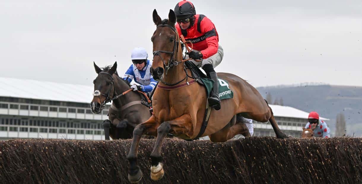 Cheltenham Racing - horse jumping